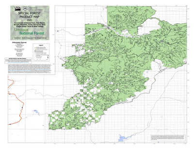 Umpqua NF - Foliage Christmas Tree SW Preview 1