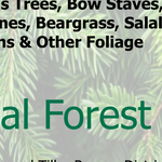Umpqua NF - Foliage Christmas Tree SW Preview 3