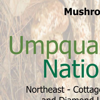 Umpqua NF - Mushroom Harvest NE Preview 3
