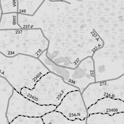 Motor Vehicle Use Map, MVUM, Osceola National Forest Preview 2