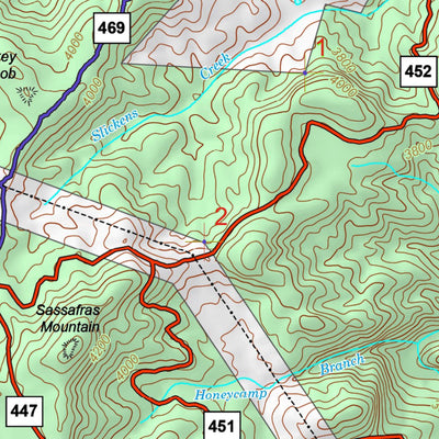 US Forest Service R8 Panthertown Trails Map digital map