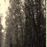 Green Mountain Finger Lakes NF - FINGER LAKES MVUM Preview 3