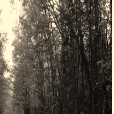 Green Mountain Finger Lakes NF - FINGER LAKES MVUM Preview 3