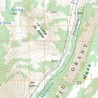 US Forest Service - Topo Abiquiu, NM FSTopo Legacy digital map