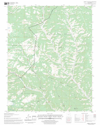 US Forest Service - Topo Abreu Canyon, NM FSTopo Legacy digital map