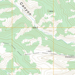 US Forest Service - Topo Abreu Canyon, NM FSTopo Legacy digital map