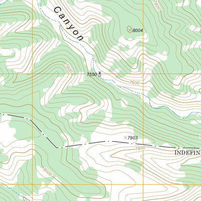 US Forest Service - Topo Abreu Canyon, NM FSTopo Legacy digital map
