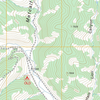 US Forest Service - Topo Abreu Canyon, NM FSTopo Legacy digital map