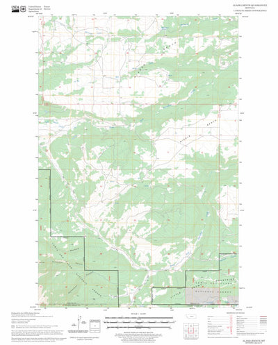 US Forest Service - Topo Alaska Bench, MT FSTopo Legacy digital map