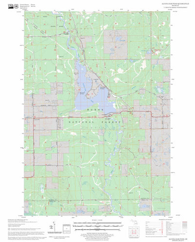 US Forest Service - Topo Alcona Dam Pond, MI FSTopo Legacy digital map