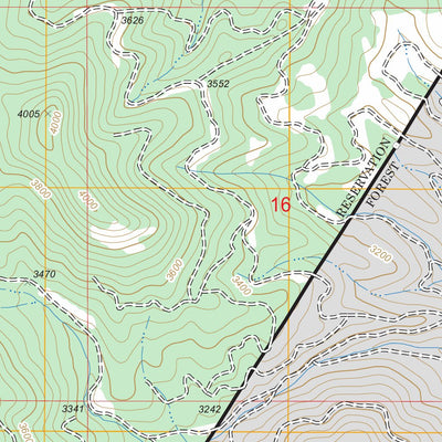 US Forest Service - Topo Alder Creek Flats, ID FSTopo Legacy digital map
