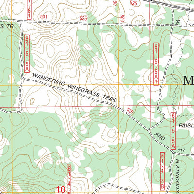 US Forest Service - Topo Alexander Springs, FL FSTopo Legacy digital map