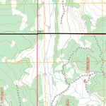US Forest Service - Topo Alire, NM FSTopo Legacy digital map