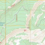 US Forest Service - Topo Alire, NM FSTopo Legacy digital map