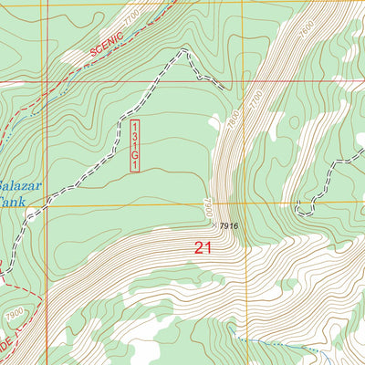 US Forest Service - Topo Alire, NM FSTopo Legacy digital map