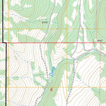 US Forest Service - Topo Alkali Lake, MT FSTopo Legacy digital map