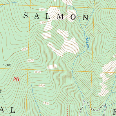 US Forest Service - Topo Allan Mountain, ID - MT FSTopo Legacy digital map