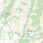 US Forest Service - Topo Alma Mesa, AZ - NM FSTopo Legacy digital map