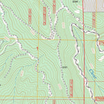 US Forest Service - Topo Almanor, CA FSTopo Legacy digital map