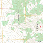 US Forest Service - Topo Almo, ID FSTopo Legacy digital map