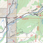 US Forest Service - Topo Almont, CO FSTopo Legacy digital map
