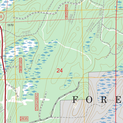 US Forest Service - Topo Alvin, WI FSTopo Legacy digital map