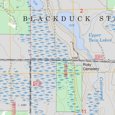 US Forest Service - Topo Alvwood, MN FSTopo Legacy digital map