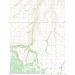 US Forest Service - Topo Anatone, WA FSTopo Legacy digital map