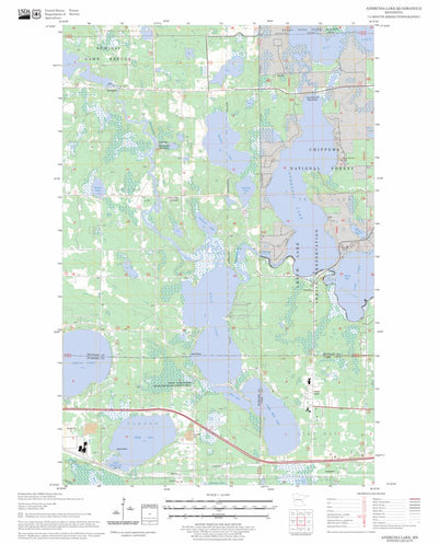 US Forest Service - Topo Andrusia Lake, MN FSTopo Legacy digital map