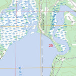 US Forest Service - Topo Andrusia Lake, MN FSTopo Legacy digital map