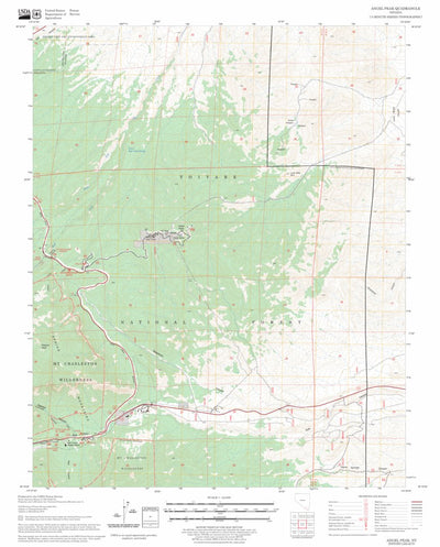 US Forest Service - Topo Angel Peak, NV FSTopo Legacy digital map