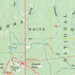 US Forest Service - Topo Angus, NM FSTopo Legacy digital map