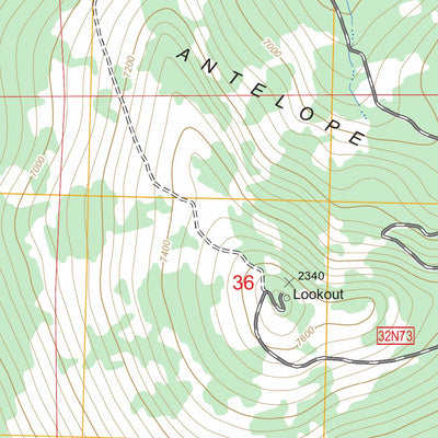 US Forest Service - Topo Antelope Mountain, CA FSTopo Legacy digital map