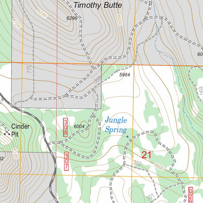 US Forest Service - Topo Antelope Mountain, OR FSTopo Legacy digital map