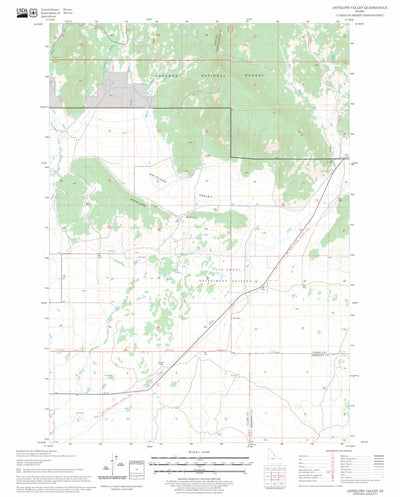 US Forest Service - Topo Antelope Valley, ID FSTopo Legacy digital map
