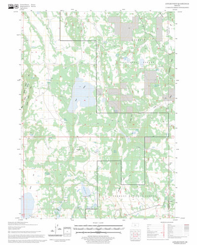 US Forest Service - Topo Antler Point, OR FSTopo Legacy digital map