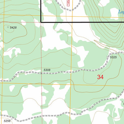 US Forest Service - Topo Antler Point, OR FSTopo Legacy digital map