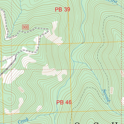 US Forest Service - Topo Antone, OR FSTopo Legacy digital map