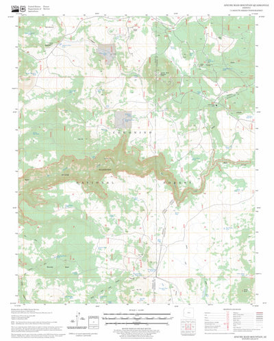 US Forest Service - Topo Apache Maid Mountain, AZ FSTopo Legacy digital map
