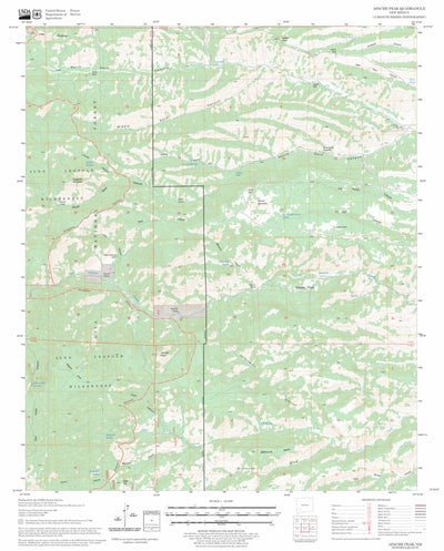 US Forest Service - Topo Apache Peak, NM FSTopo Legacy digital map