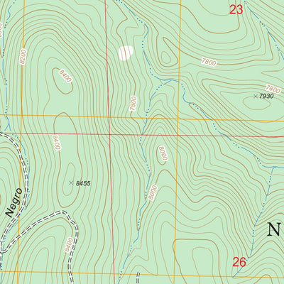 US Forest Service - Topo Aragon, NM FSTopo Legacy digital map