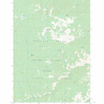 US Forest Service - Topo Arctic Point, ID FSTopo Legacy digital map
