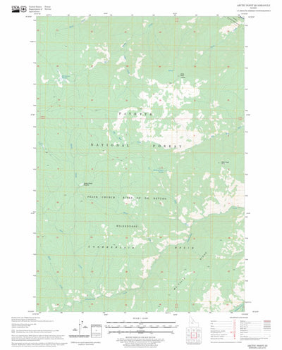 US Forest Service - Topo Arctic Point, ID FSTopo Legacy digital map