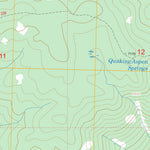 US Forest Service - Topo Arctic Point, ID FSTopo Legacy digital map