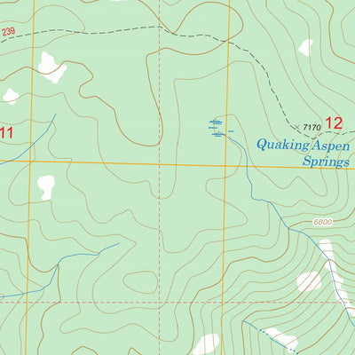 US Forest Service - Topo Arctic Point, ID FSTopo Legacy digital map