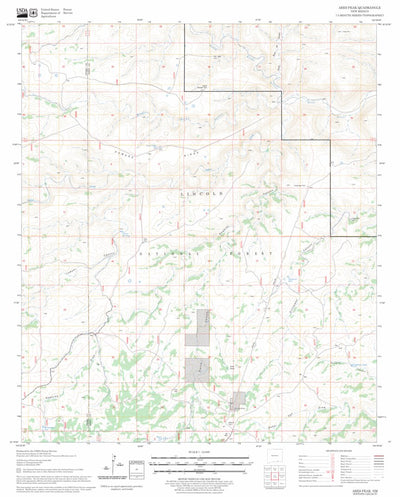 US Forest Service - Topo Ares Peak, NM FSTopo Legacy digital map