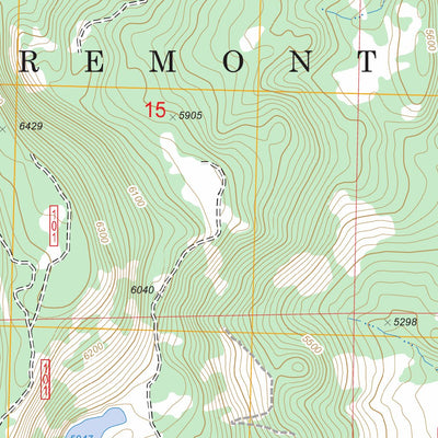 US Forest Service - Topo Arkansas Flat, OR FSTopo Legacy digital map
