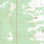 US Forest Service - Topo Armstrong Canyon, NM FSTopo Legacy digital map