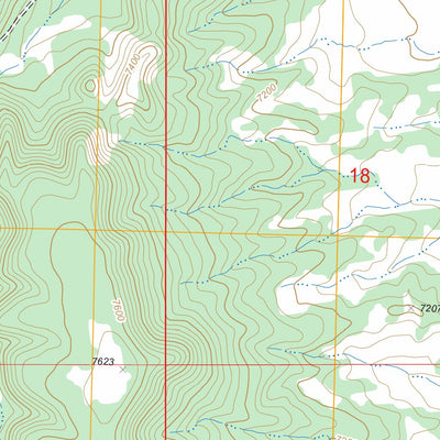 US Forest Service - Topo Armstrong Canyon, NM FSTopo Legacy digital map