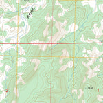 US Forest Service - Topo Armstrong Canyon, NM FSTopo Legacy digital map
